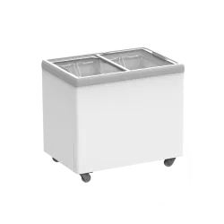 Vitrine à glace 223L IC310D