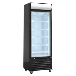 Vitrine congélateur 343L DF400BD