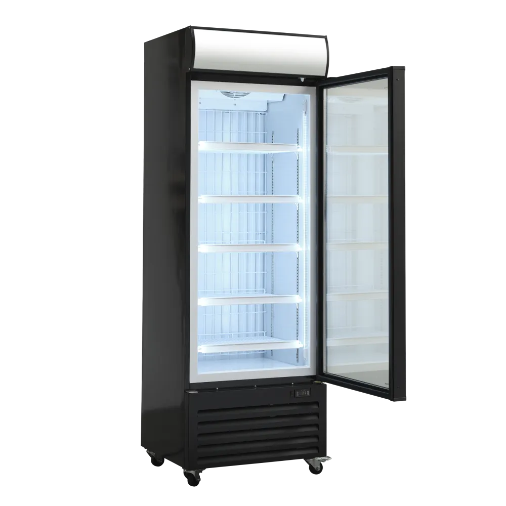 Vitrine congélateur 343L DF400BD (25324010000DF400BD)