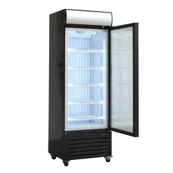 Vitrine congélateur 343L DF400BD
