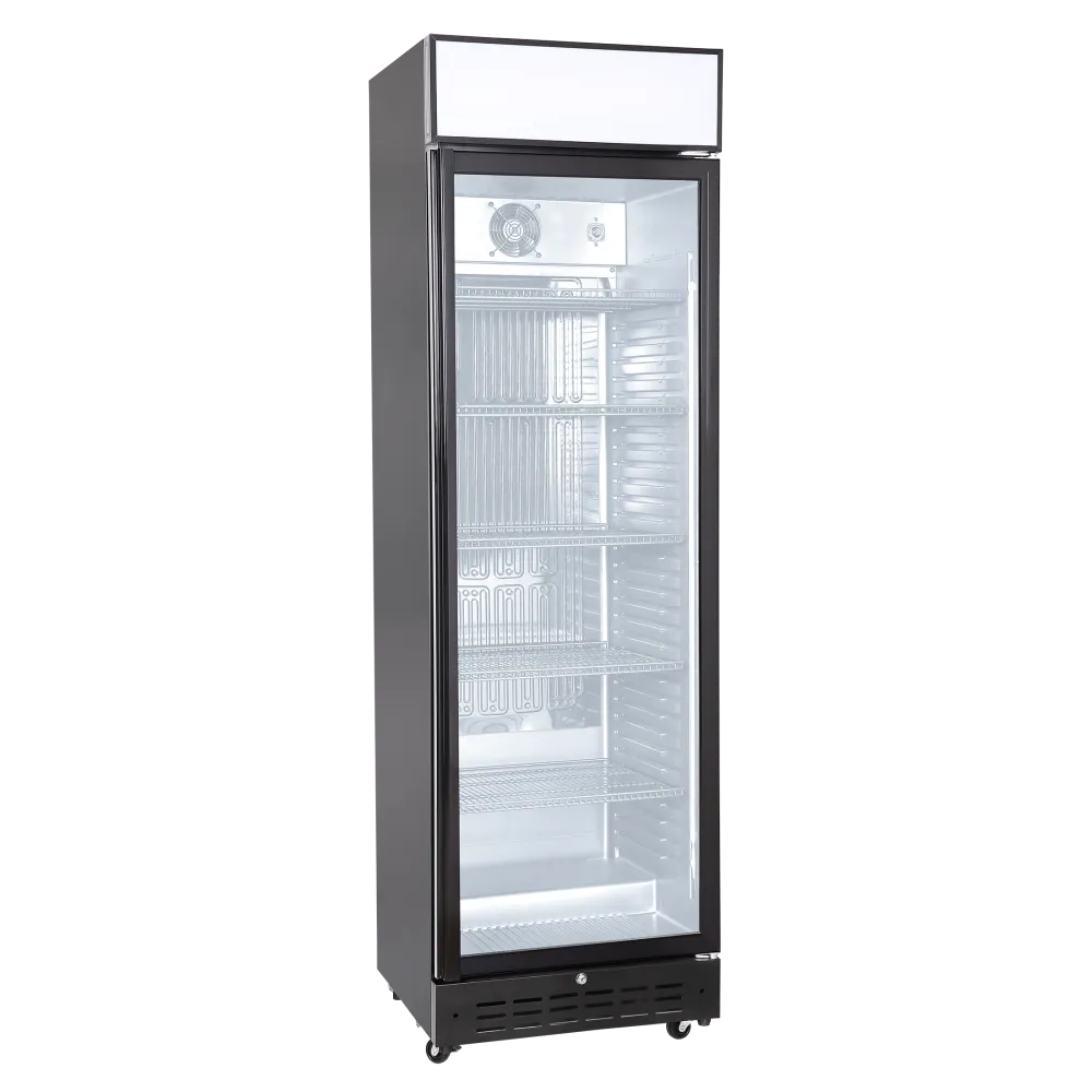 Réfrigérateur vitrine 274L DCC360BD (263111DCC360BD)