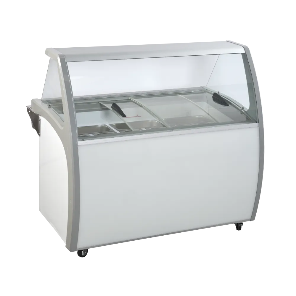 Vitrine à glace 310L SIC9WB (23424510000SIC9WB)